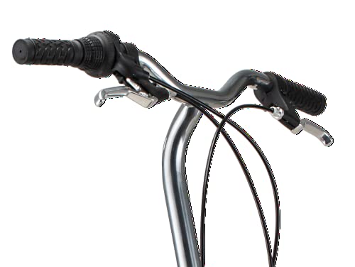 Schwinn Loop Adult Folding Bike for Men and Women, 20-inch Wheels, 7-Speed Drivetrain